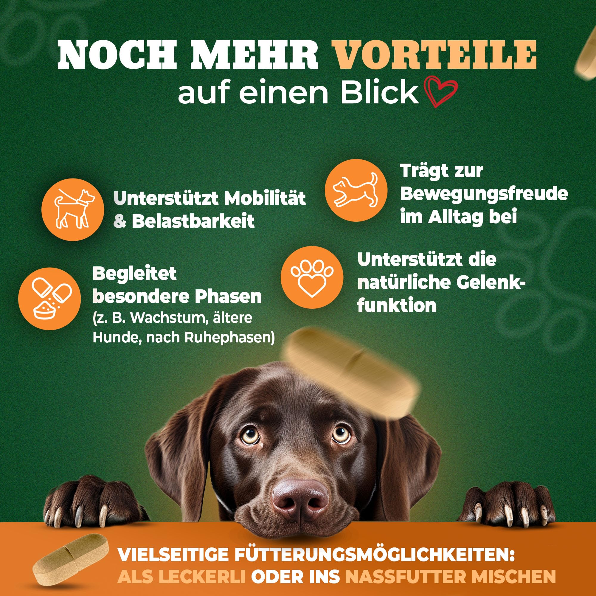 Gelenktabletten Hund - Grünlippmuschel Hund - Gelenkkomplex Vital Rezeptur mit Weihrauch Teufelskralle & MSM - Grünlippmuschel Kapseln - Unterstützt Gelenke & Beweglichkeit Made in Germany