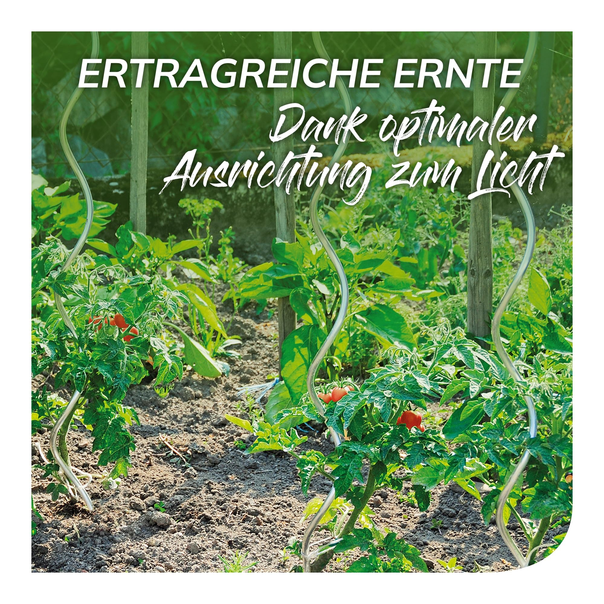 bellissa Tomatenspirale Rankhilfe Pflanzenstütze 10er-Set Aluminium 180 cm | Ø 10 mm für Tomaten, Gurken etc., stabile Pflanzstäbe für Garten, Hochbeet & Töpfe, wetterfest & wiederverwendbar