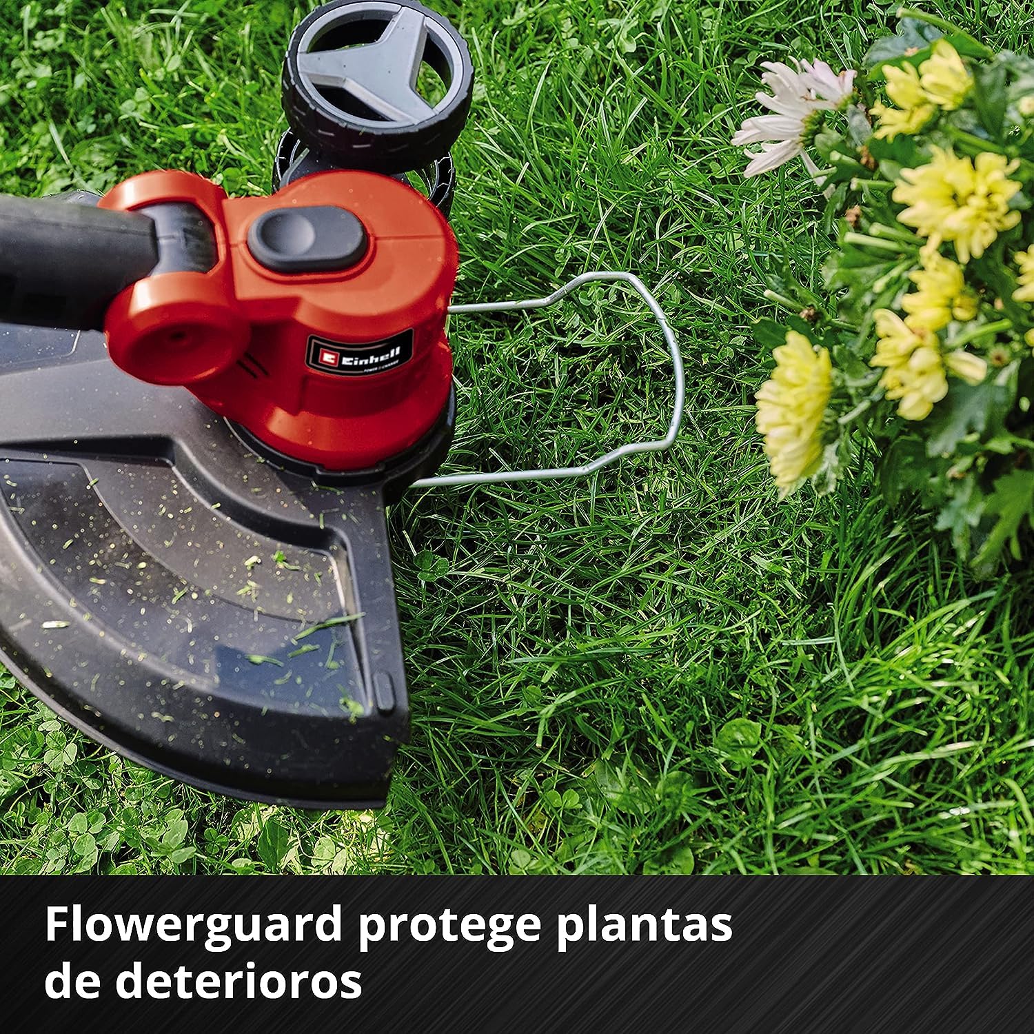 Einhell Recortadora de césped con batería GE-CT 18/30 Li-Solo Power X-Change (18V, Anchura de Corte 30cm, Cabezal Motor Giratorio 90º e inclinable, Incl. Bobina de Hilo sin batería)