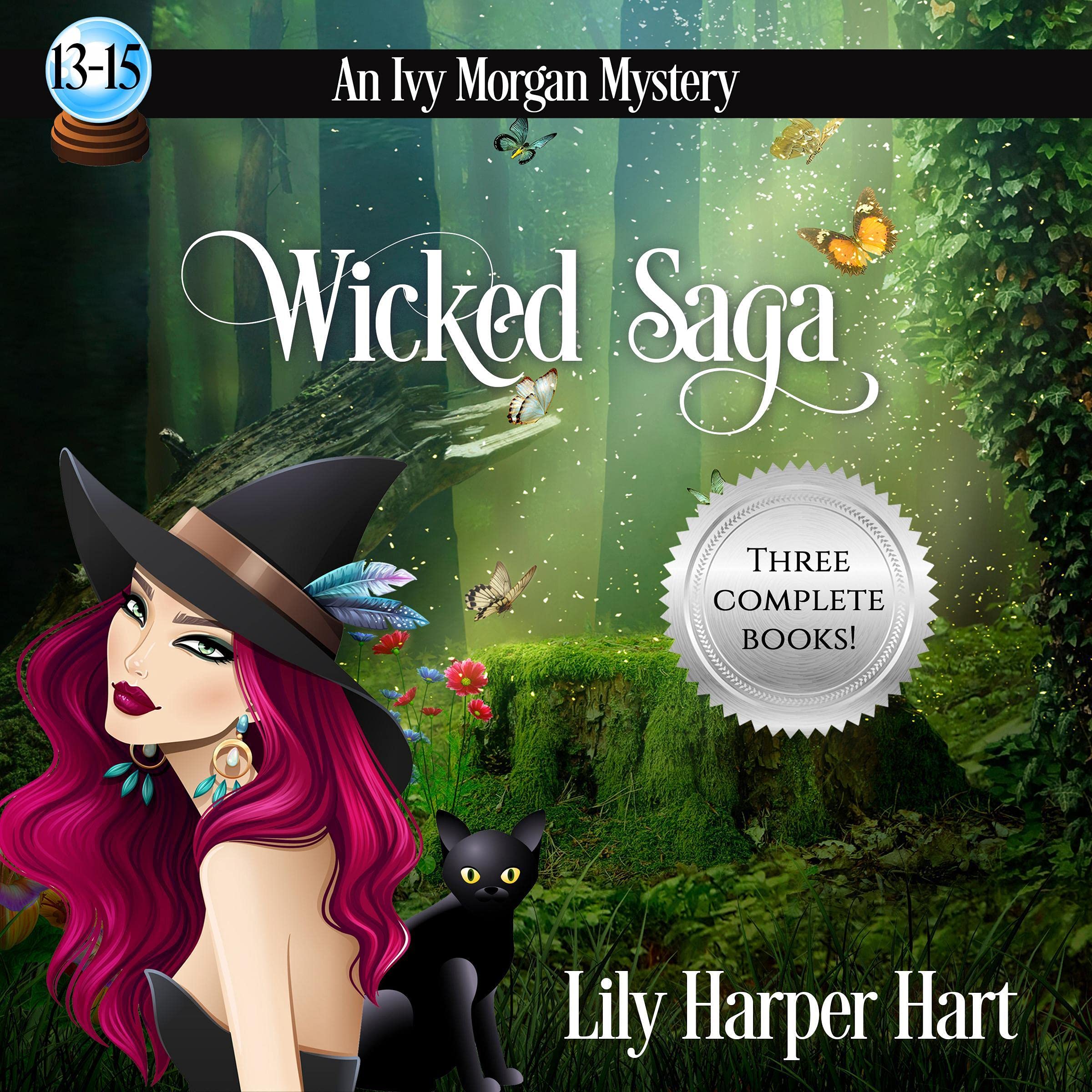 Cover art for Wicked Saga