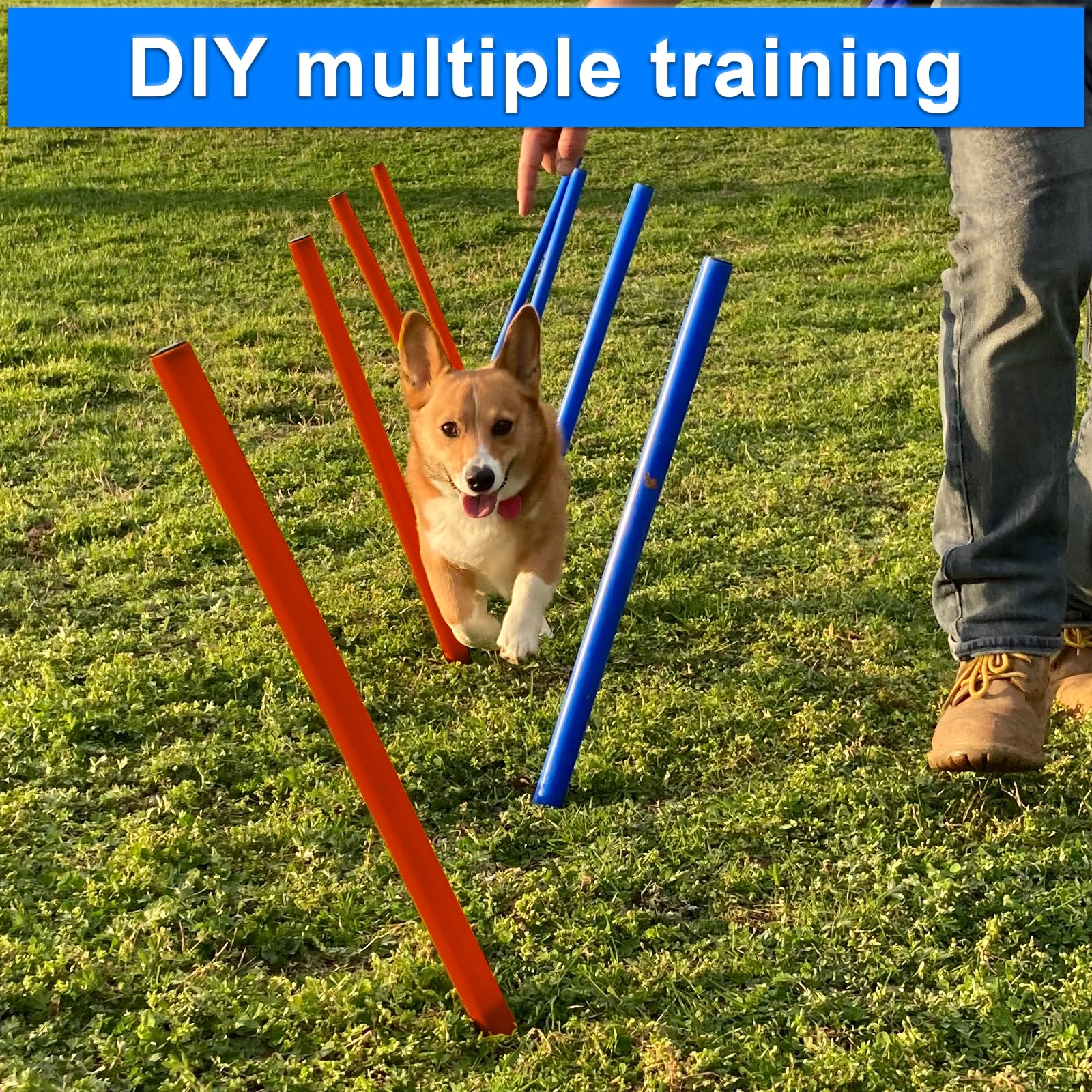 G TALECO GEAR Agility Set Hunde, 7-teiliges Set Agility Ausrüstung für Hunde, Agility Set mit 180CM Hundetunnel, Einstellbar Springring, 3 Einstellbar Hürdenstange, 8 Slalomstangen