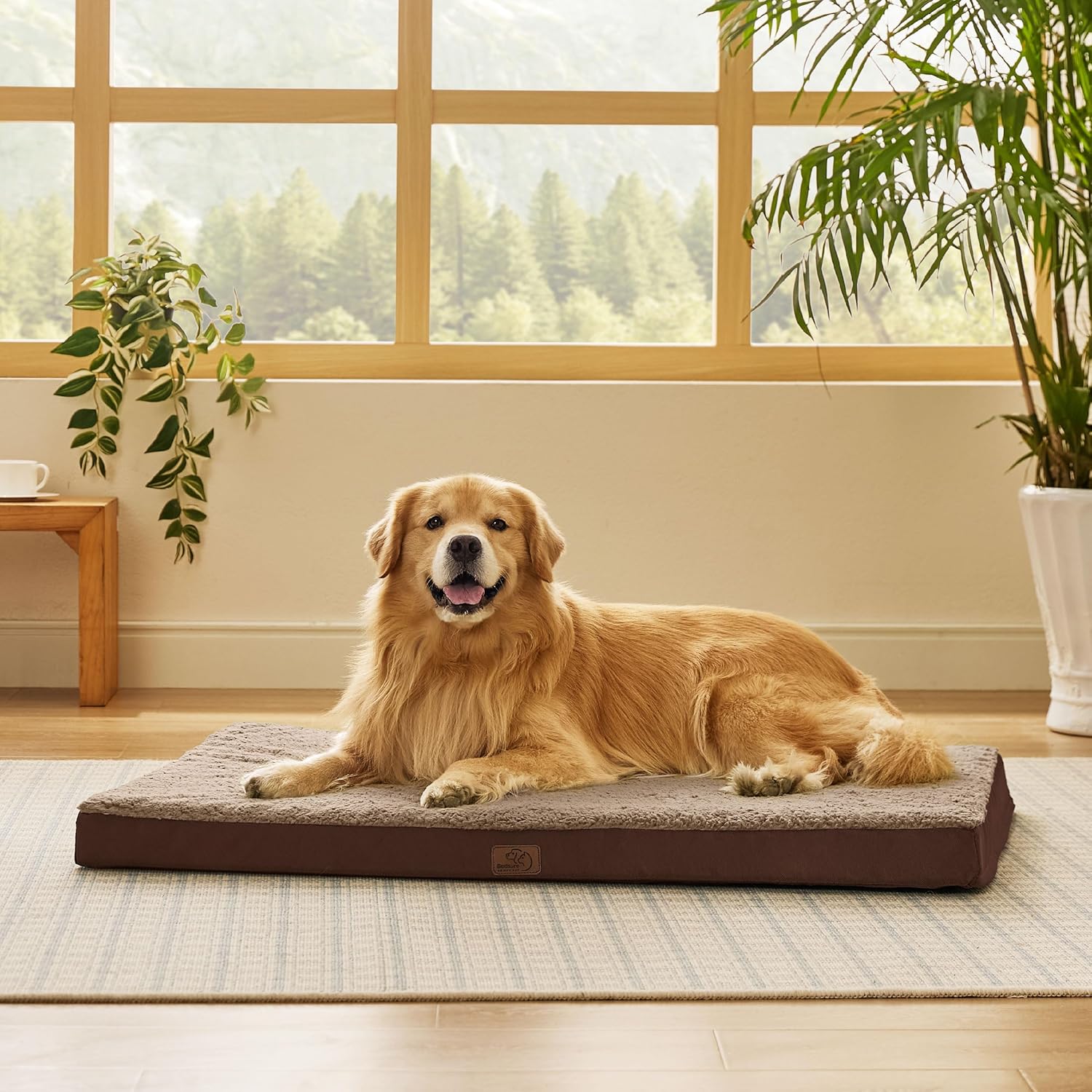Bedsure XL Dog Beds Large Sized Dog -Comfy Flat Extra Large Pet Beds with Removable Washable Cover Orthopedic