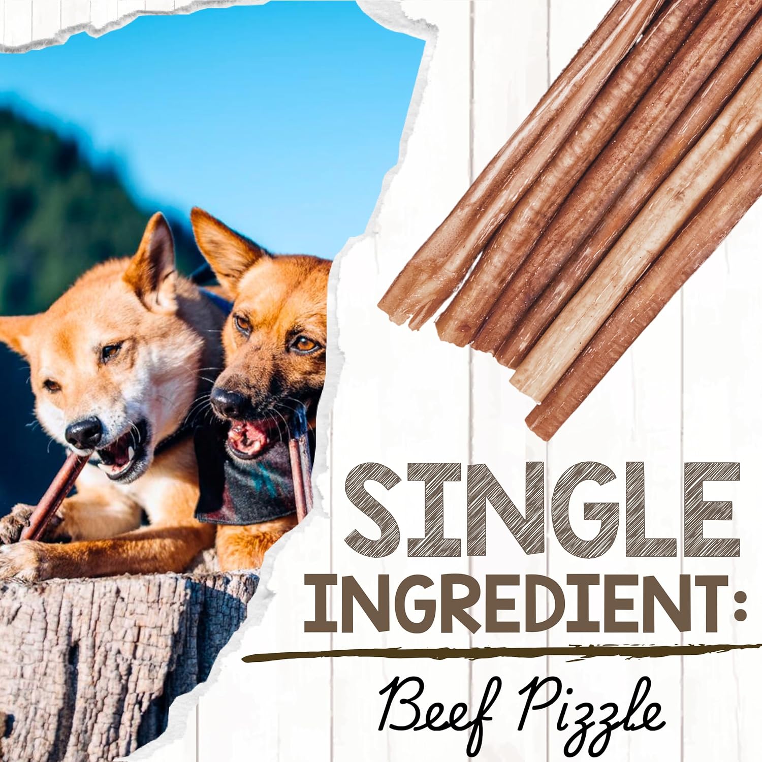 Nature Gnaws Large Bully Sticks for Dogs 11-12" (10 Count) - Thick Long Lasting for Aggressive Chewers and Large Dogs - Natural Beef Dog Chew Bones