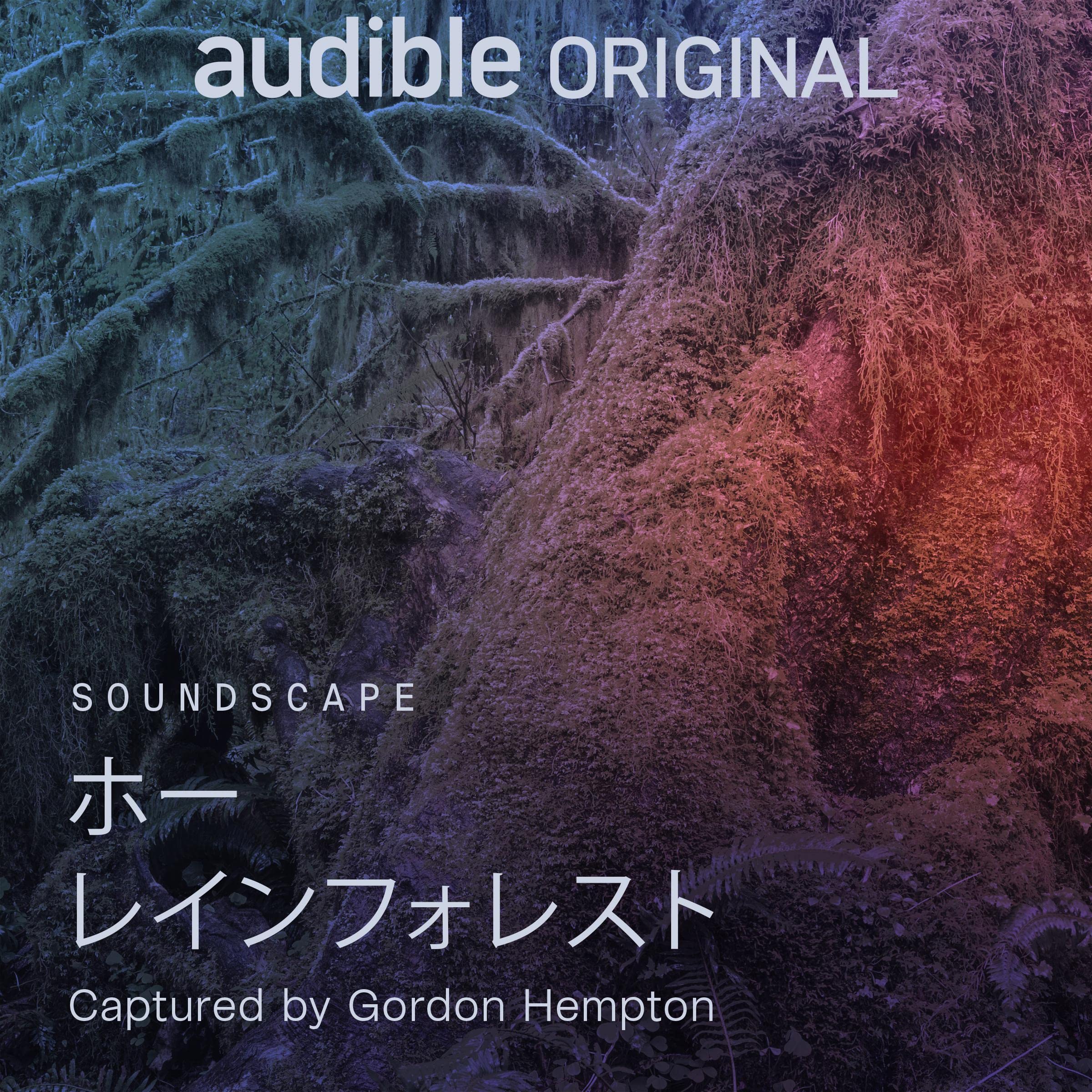 ホー レインフォレスト