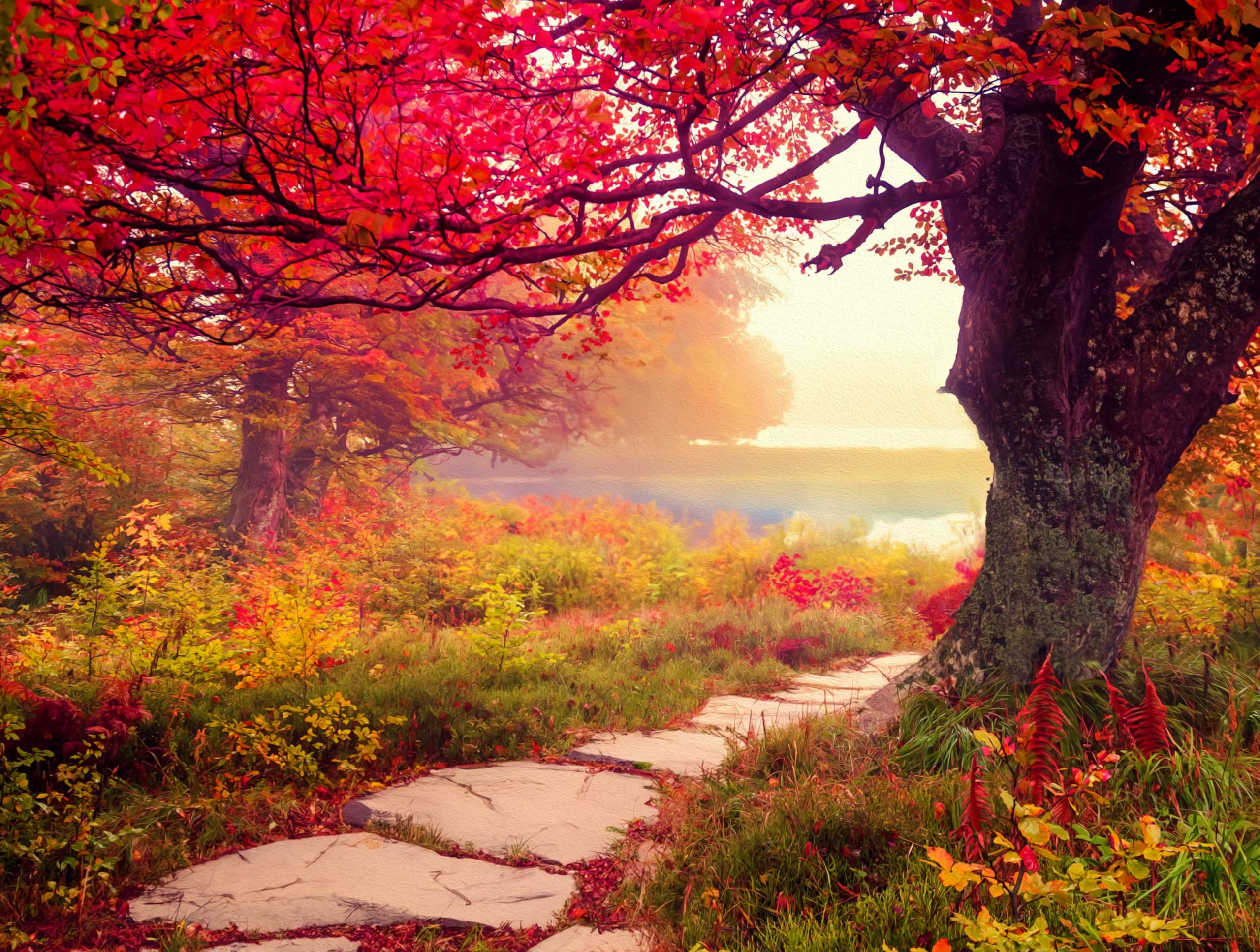 Springbok's Stone Path 1000 Piece Jigsaw Puzzle is A Mezmorizing Image for Puzzlers Looking for a Tranquil Escape