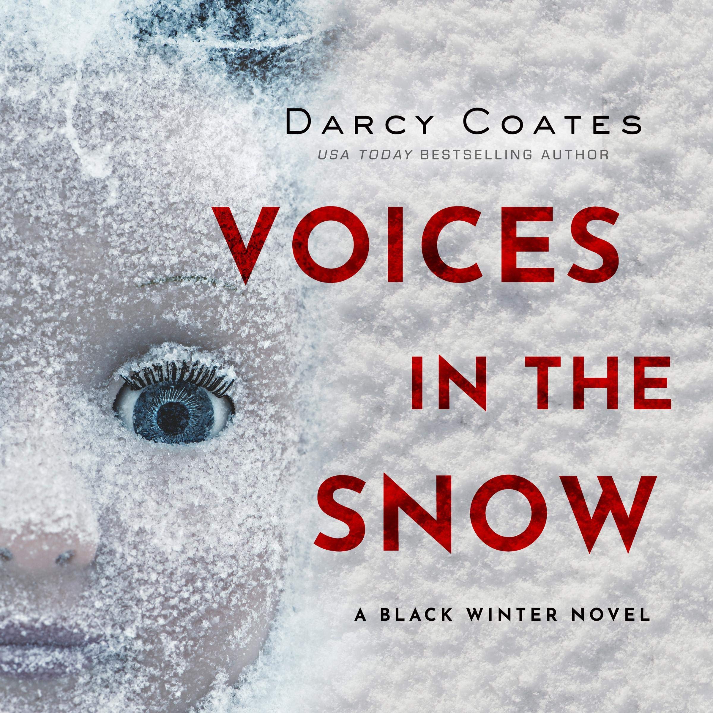Cover art for Voices in the Snow