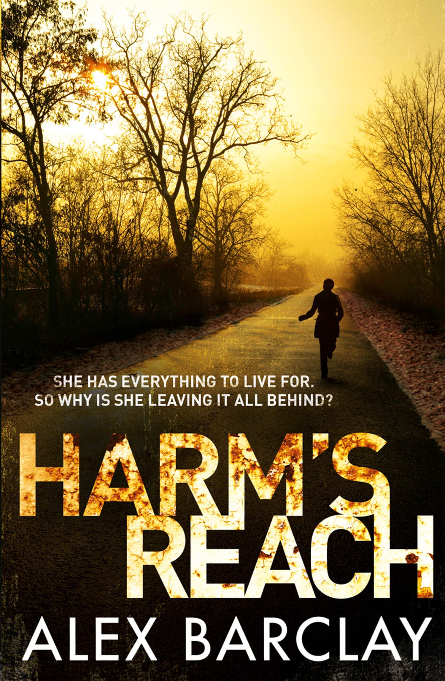 HARM'S REACH: A Gripping Psychological Mystery Featuring an FBI Detective and a Cold Case