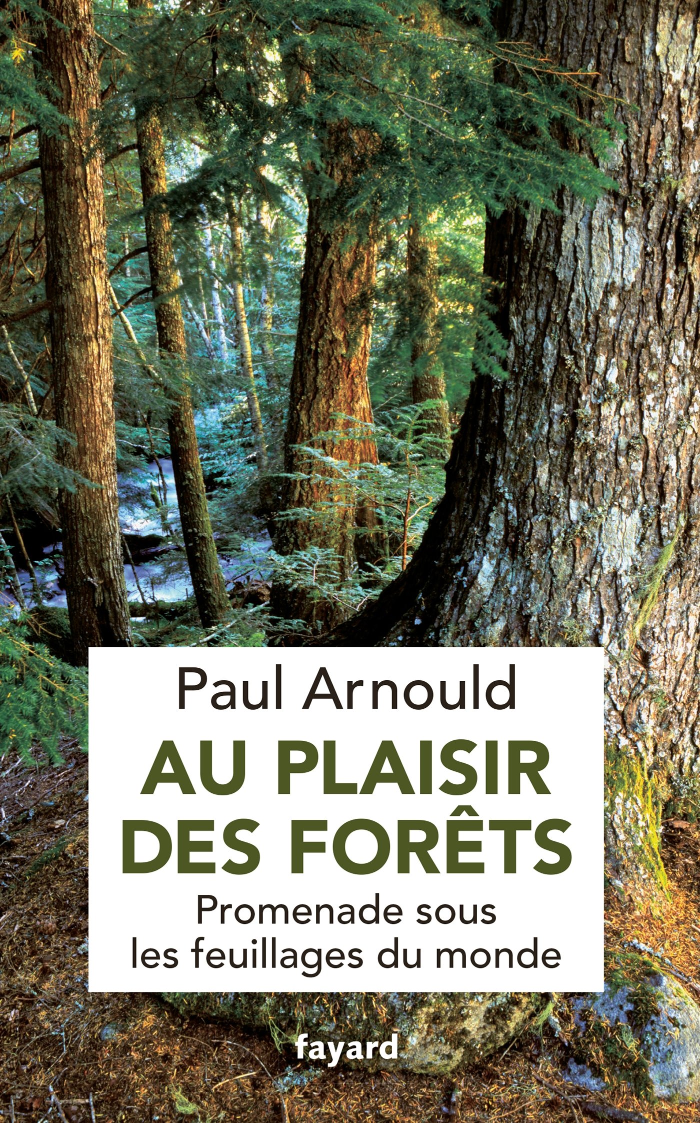 Au plaisir des forêts: Promenade sous les feuillages du monde (French Edition)
