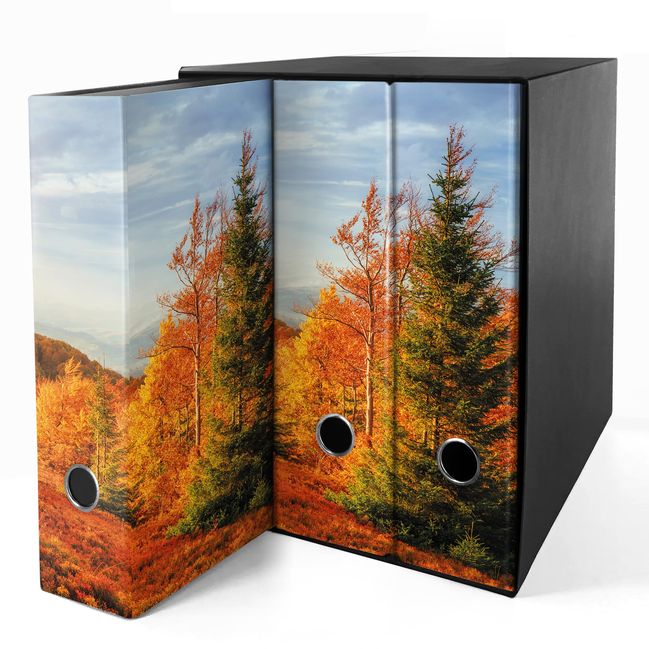Set da 3 raccoglitori ad anelli - AUTUNNO (H31 cm con 4 anelli)
