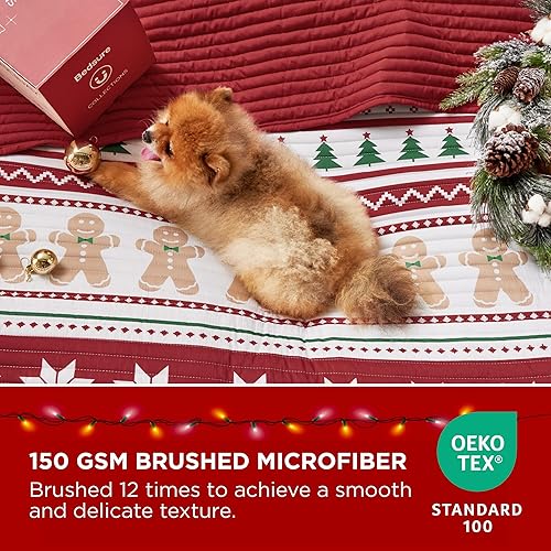 Miniatura 3 de Bedsure Juego de edredón a rayas tamaño Queen, juego de ropa de cama reversible color aguamarina, colcha ligera de 3 piezas, juego de edredón de