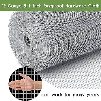 こちやん s-l400.jpg