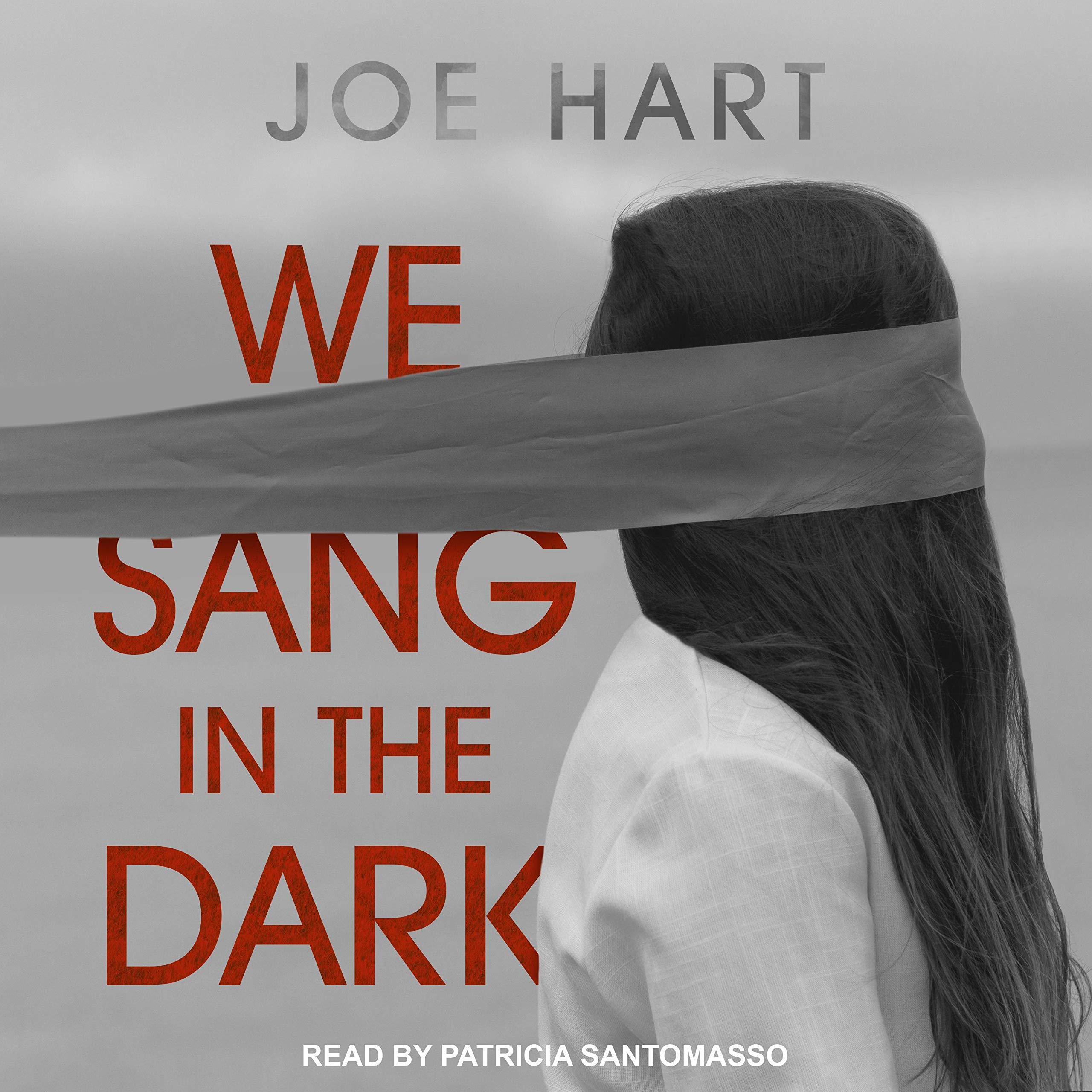 Cover art for We Sang in the Dark