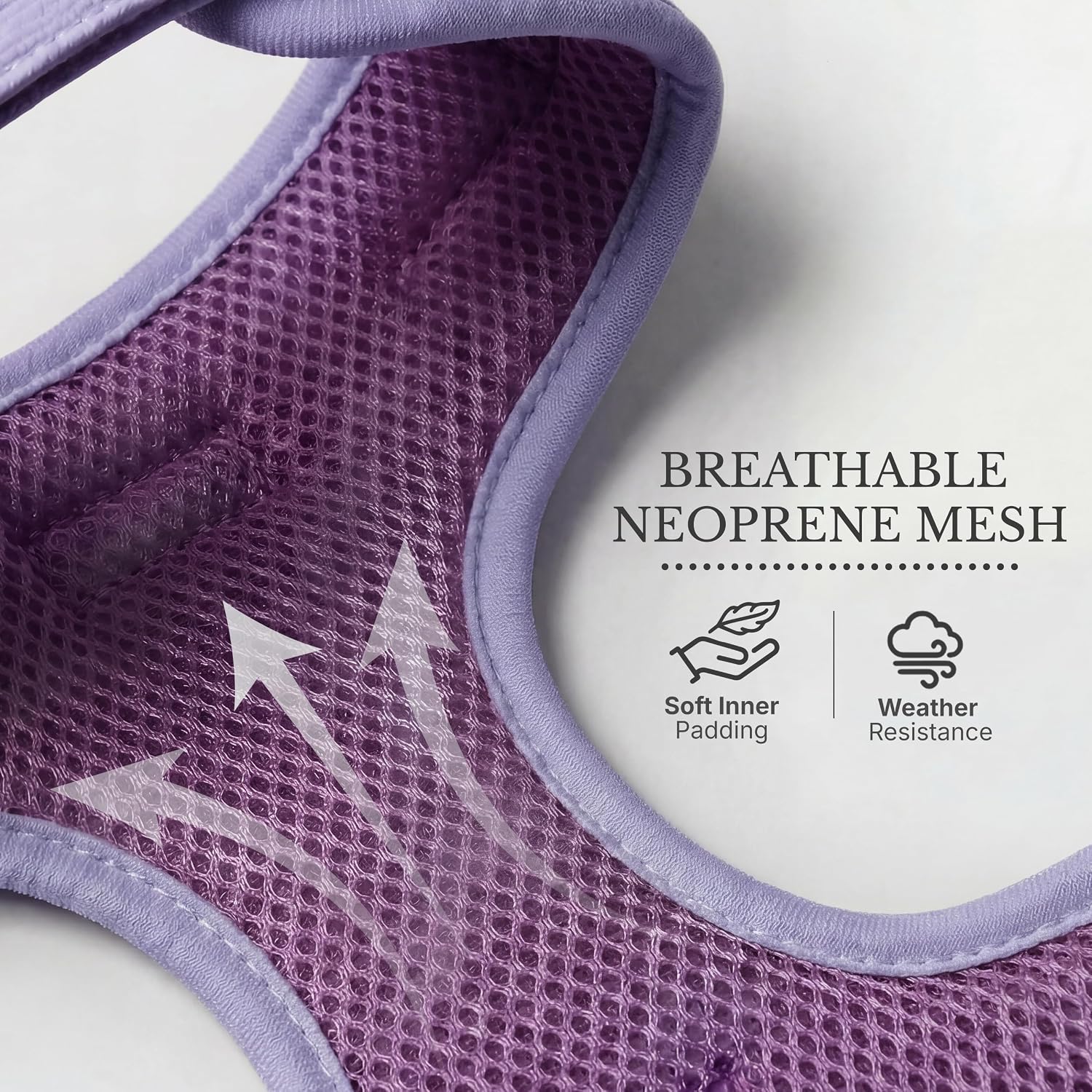 No Pull Dog Harness | Lightweight Breathable Neoprene Harness, Cute Heart Pattern, Adjustable Step-in Vest with Secure Back D-Ring, Soft Padded, for XXS-L Dogs – Harness Only Purple
