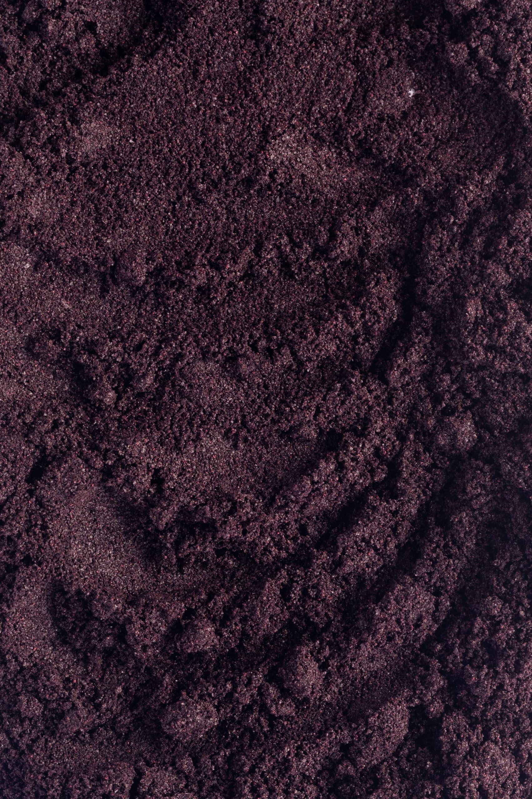 Biojoy Açaï en Poudre BIO (250 g), Poudre de Baies d’Acai lyophilisé (Euterpe oleracea Mart.)