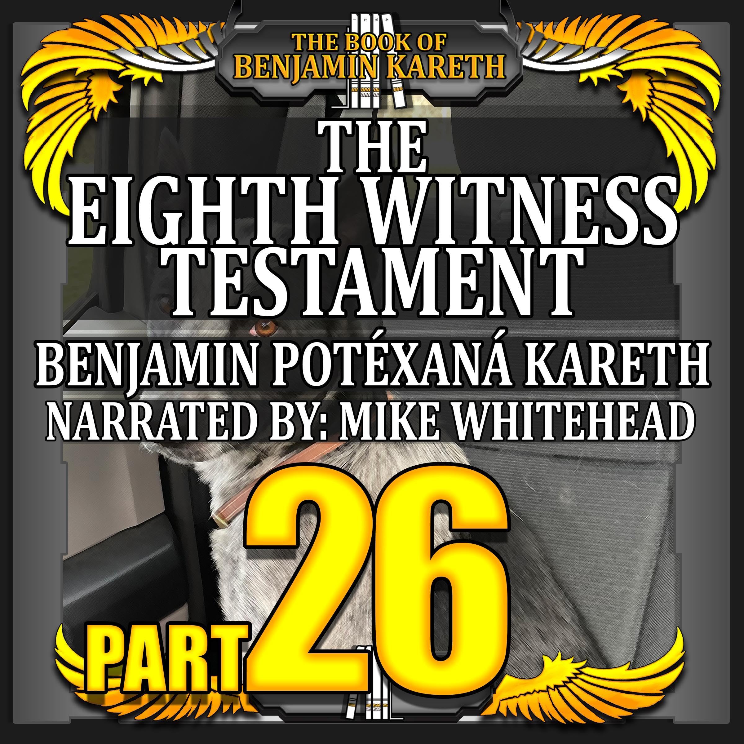 Cover art for The Eighth Witness Testament