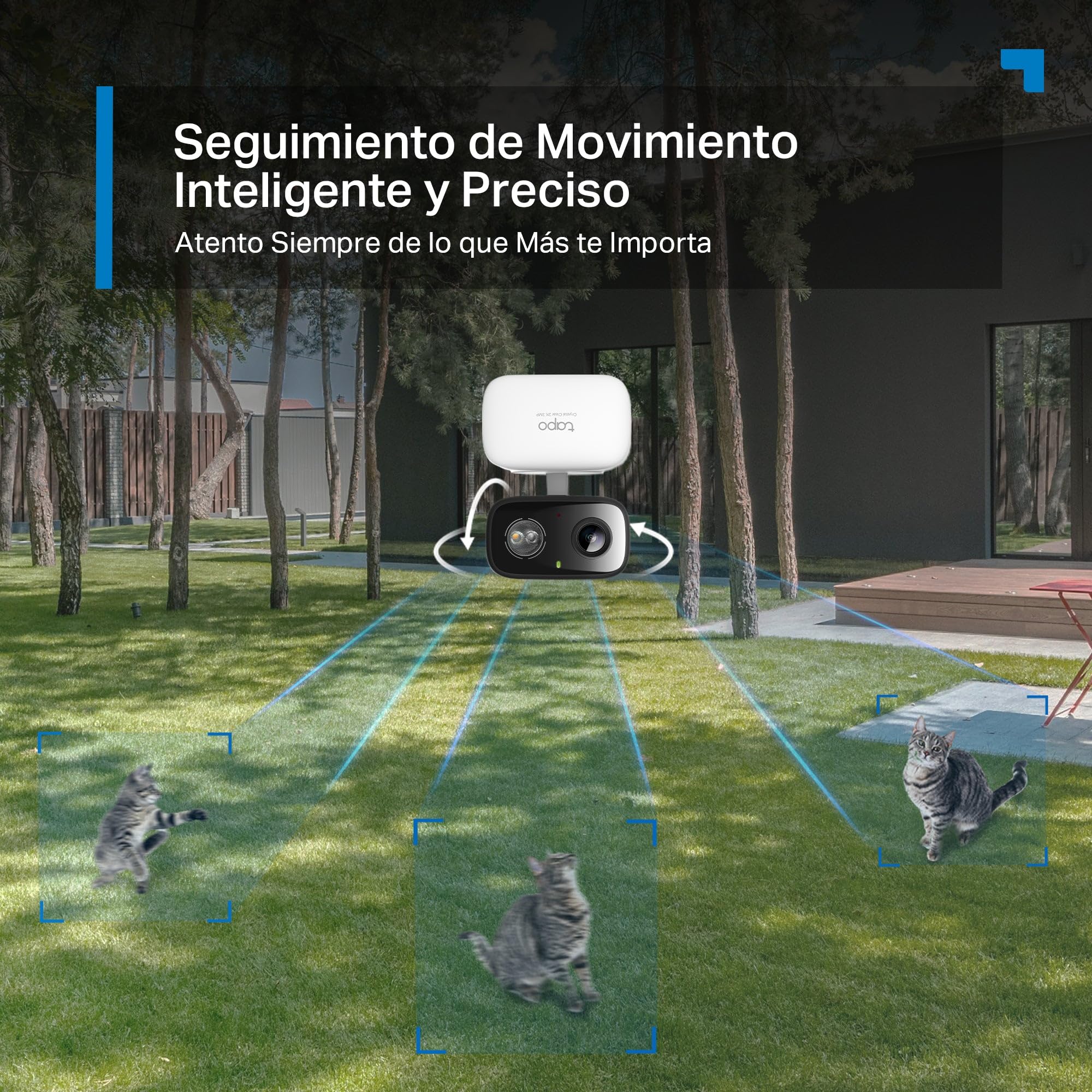 Tapo C216, Mini Cámara de Vigilancia 2K 3MP 360°, Grabación Interior/Exterior, Detección IA y Notificaciones, Tarjeta MicroSD de hasta 512 GB