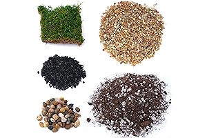 Amphibian Terrarium Kit