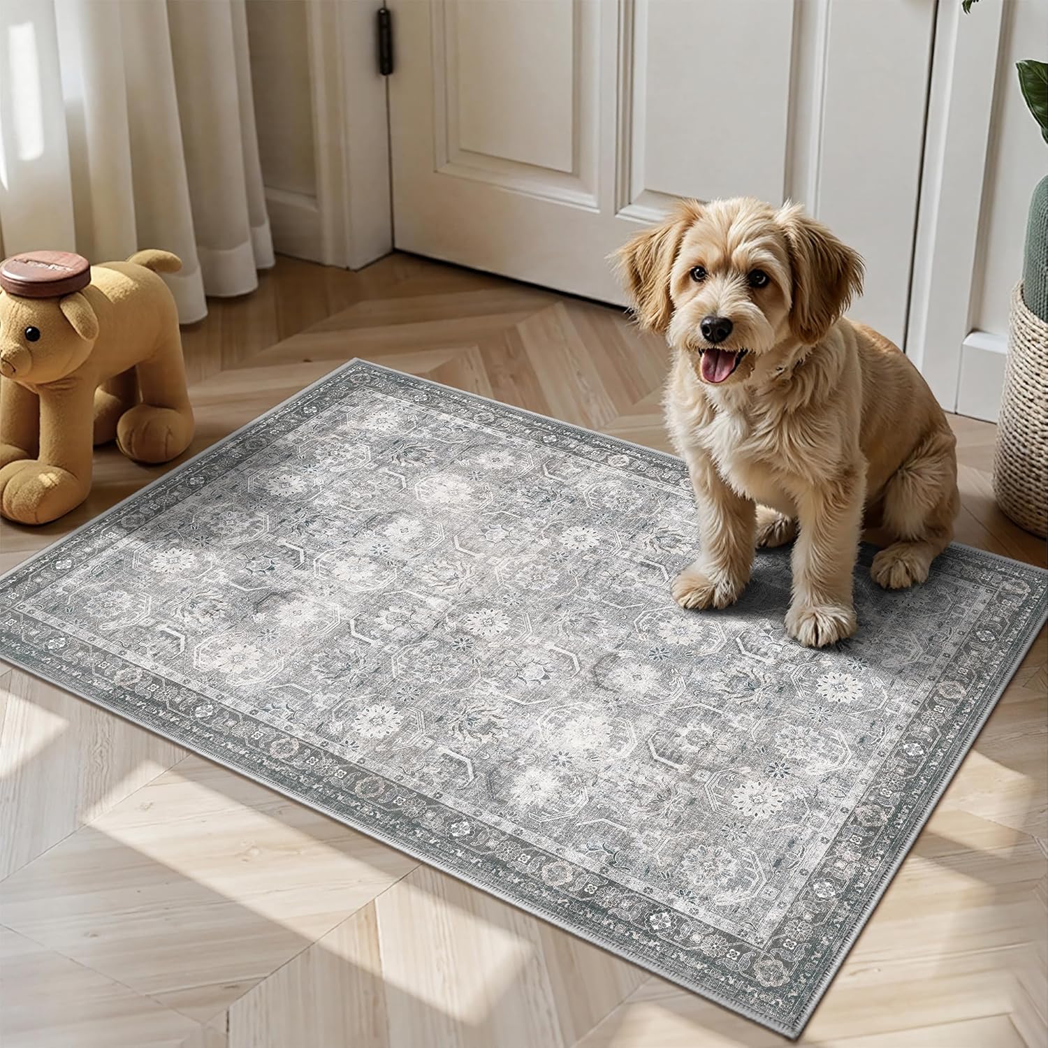 Entryway Rug, Washable Soft Non Slip Low Pile 2×3 Rug, Small Entrance Rugs Indoor for Bedroom, Kitchen, Laundry, Distressed Grey