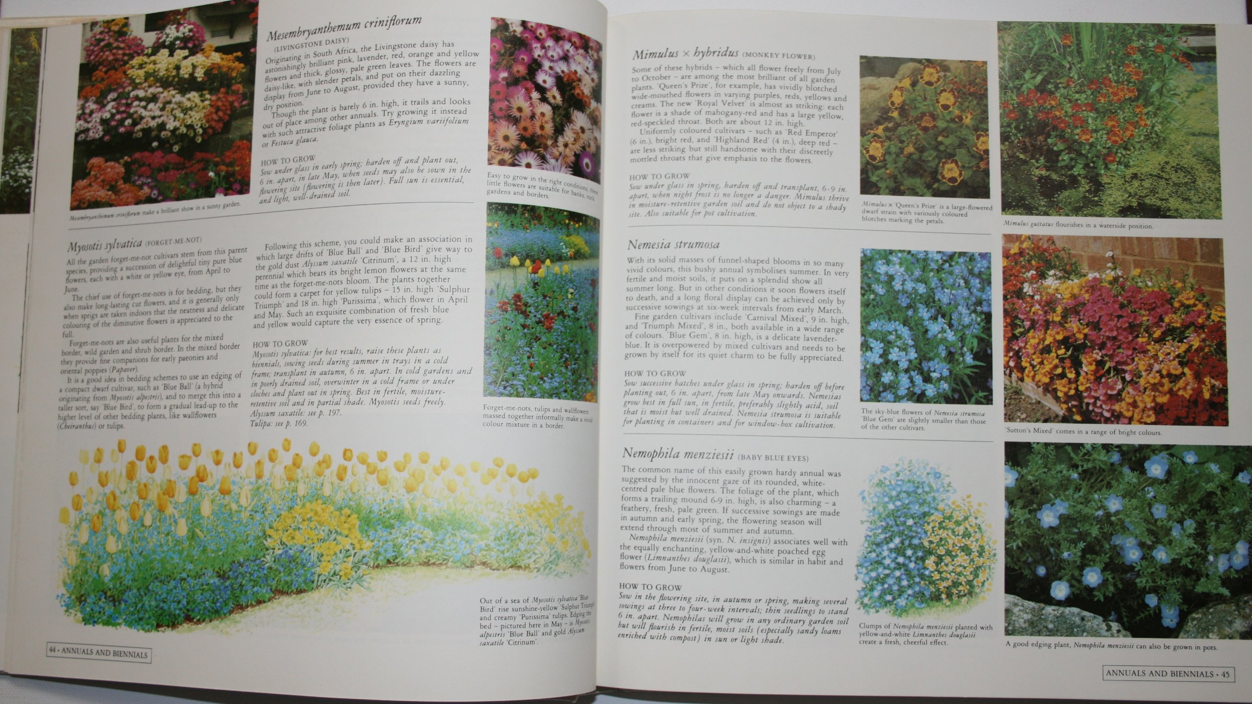 A Garden for All Seasons