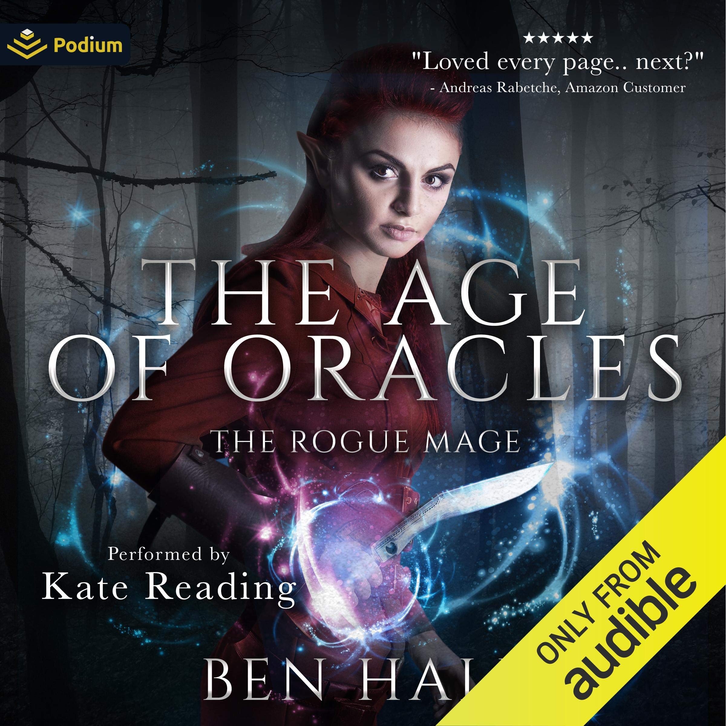 Cover art for The Rogue Mage