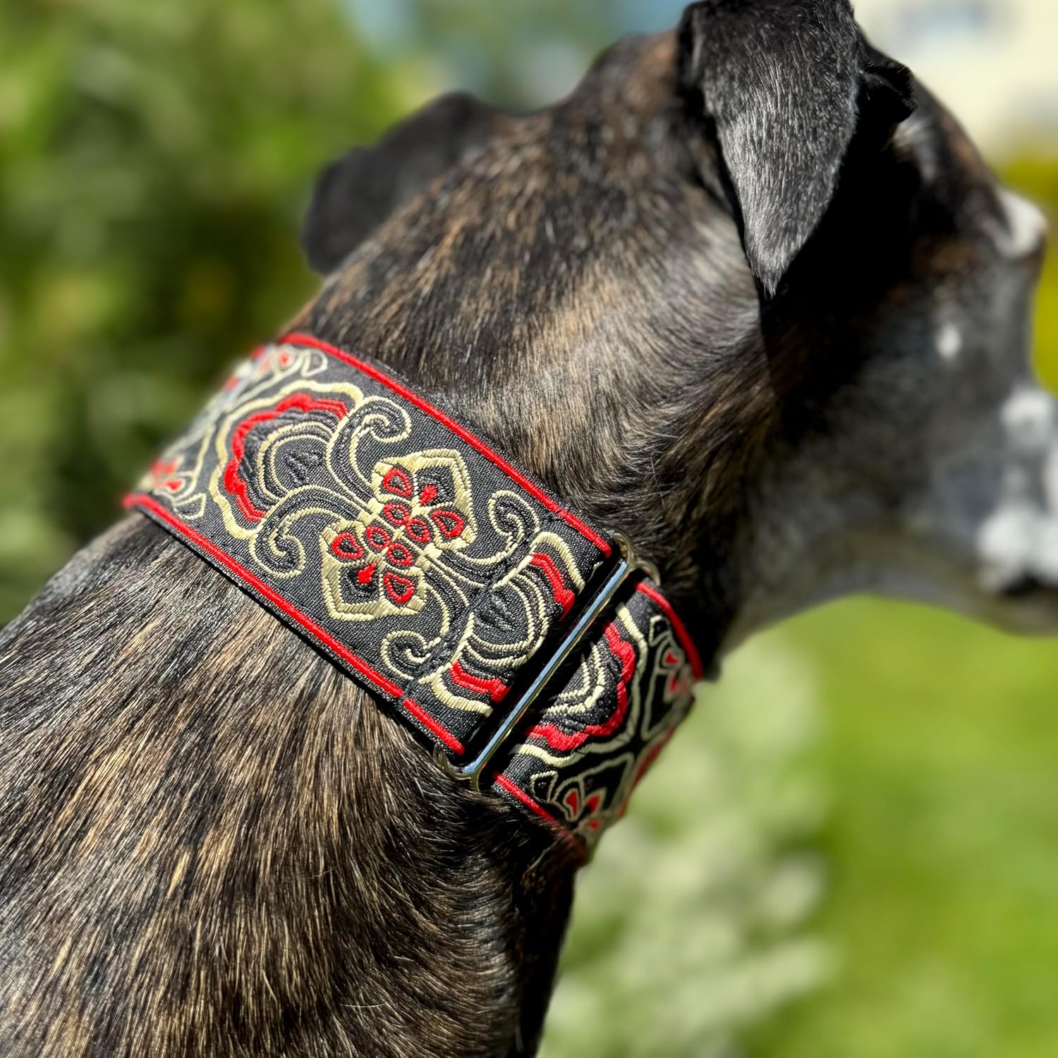 Martingale Dog Collar for Greyhound Saluki Whippet and Other Breeds with Similar Neck 2'' Wide (XL 17''-22'')