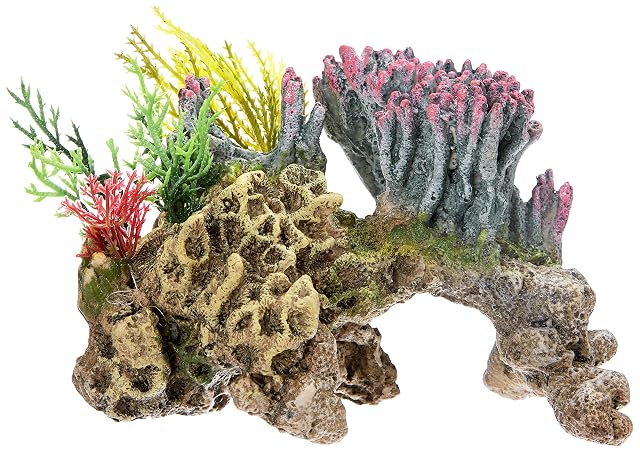 Foto 2 de 5 de Nobby Piedra de Coral con Plantas, Adornos para Acuario, 15,5 x 9 x 10,5 cm