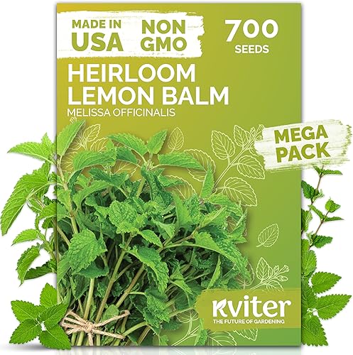 KVITER 700 semillas de bálsamo de limón para plantar (Melissa Officinalis) - Semillas de hierbas medicinales orgánicas y tradicionales - Cultivar en