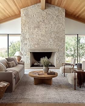 Amazon.com: Loloi Amber Lewis Alie Collection ALE-01 Stone