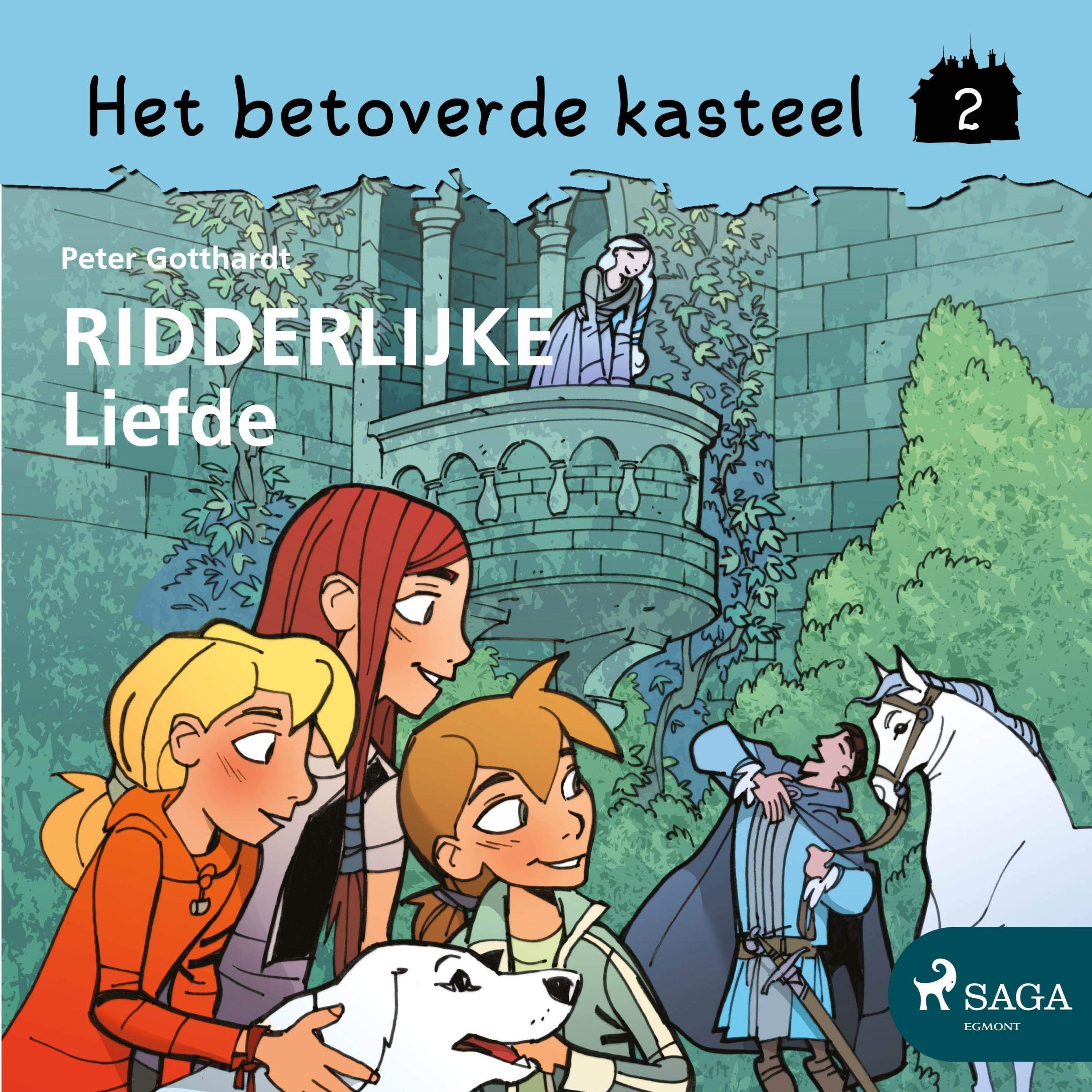 Cover art for Ridderlijke Liefde