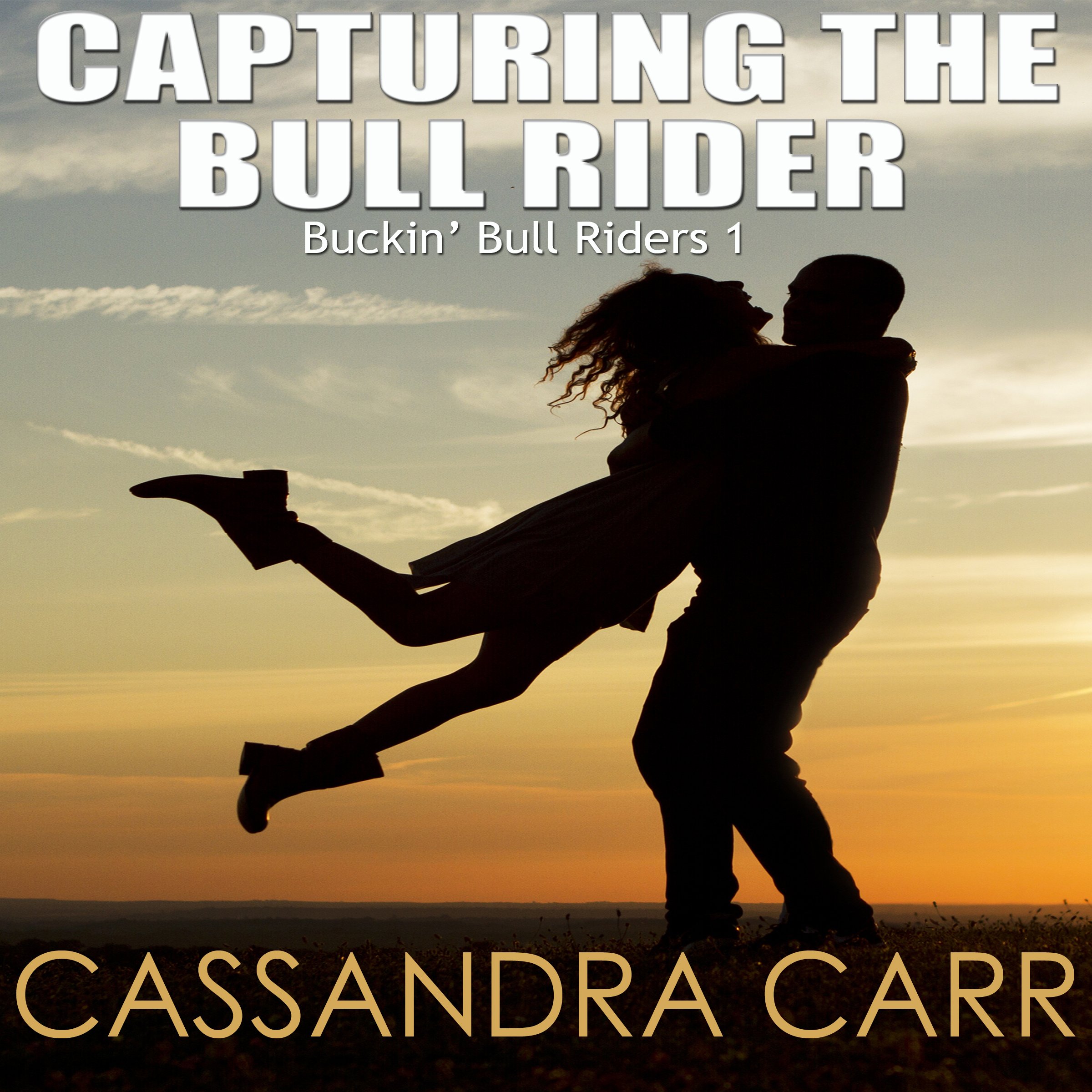 Capturing the Bull Rider