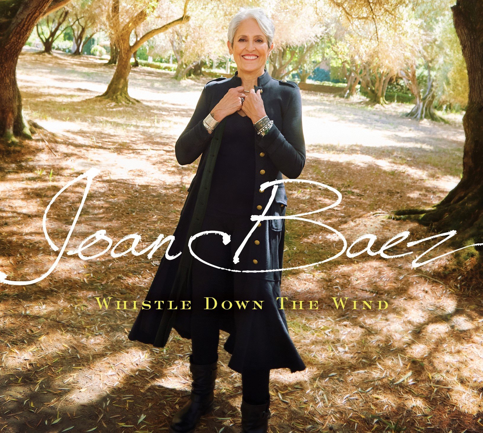 Joan Baez - Whistle Down the Wind (Proper Records) CD Album