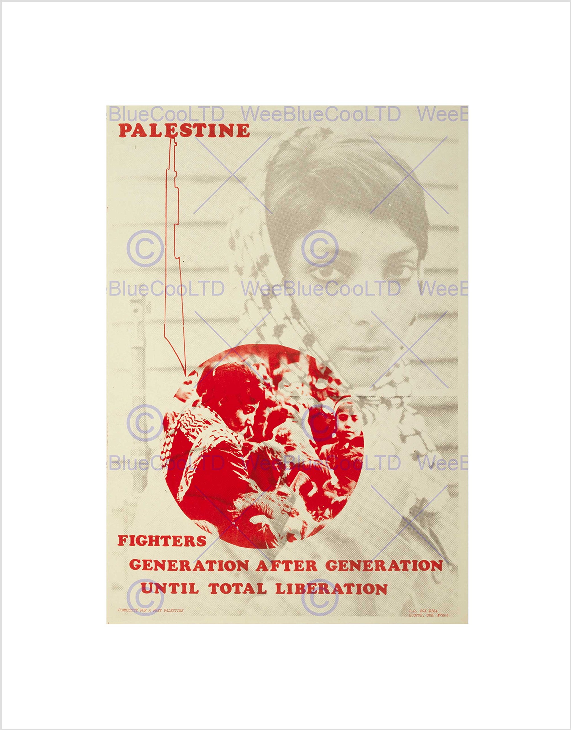 Wee Blue Coo POLITICAL CIVIL RIGHTS PALESTINE ISRAEL LIBERATION FRAMED ART PRINT B12X11103