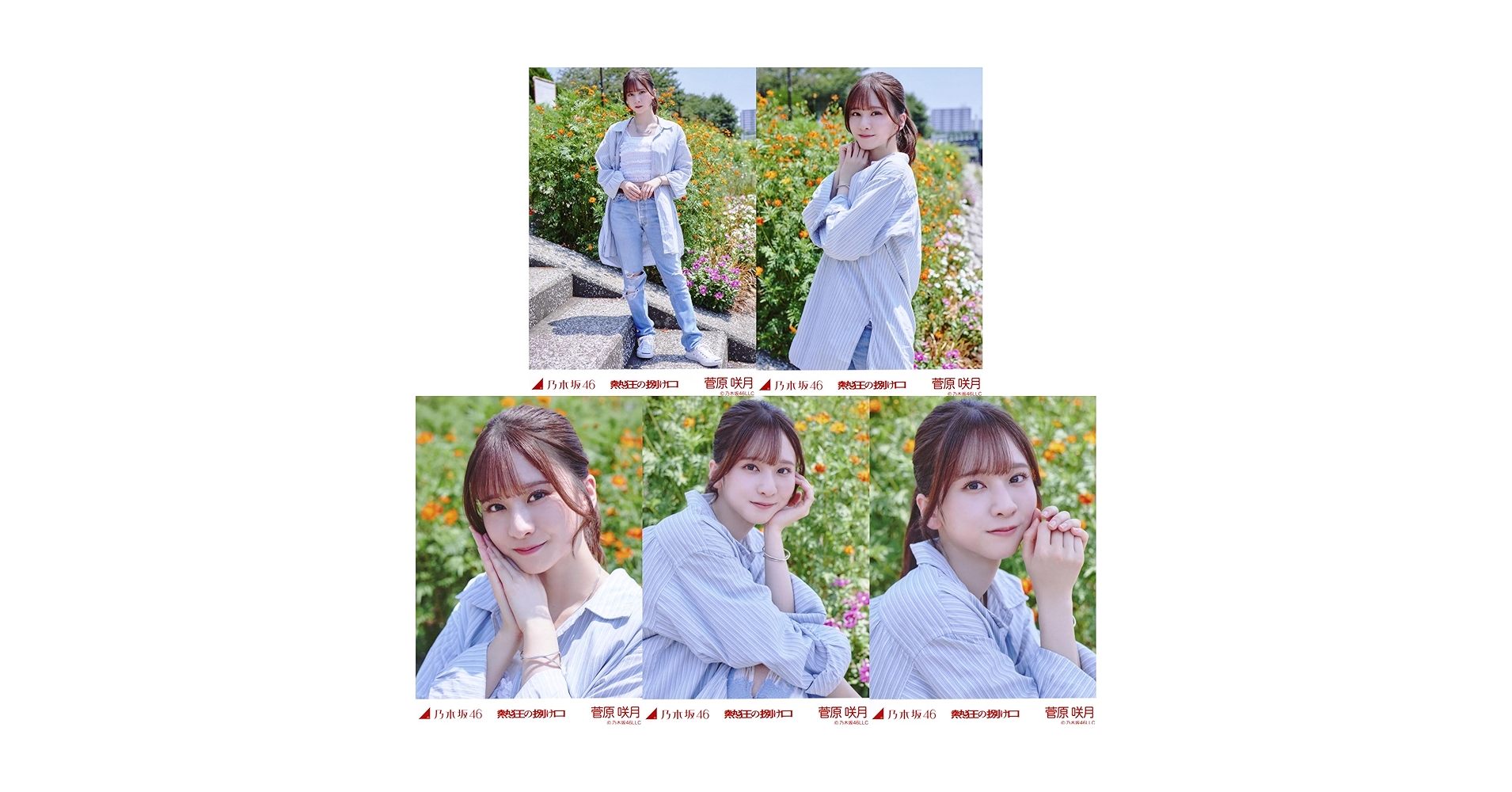 Amazon.co.jp: 乃木坂46 2024年8月個別生写真5枚セット/「熱狂の捌け口