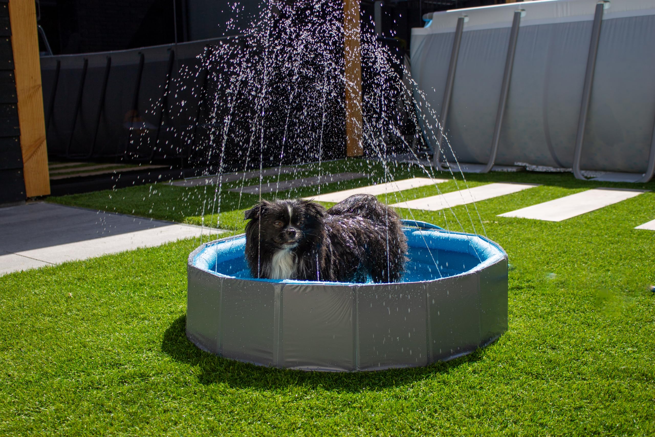 Piscine Chien - Piscine rafraîchissante Sprinkle Bleu et Gris foncé - Jets d'eau intégrés - raccord pour Tuyau d'arrosage - Fond antidérapant - sans Pompe - 120 x 30 cm - Flamingo