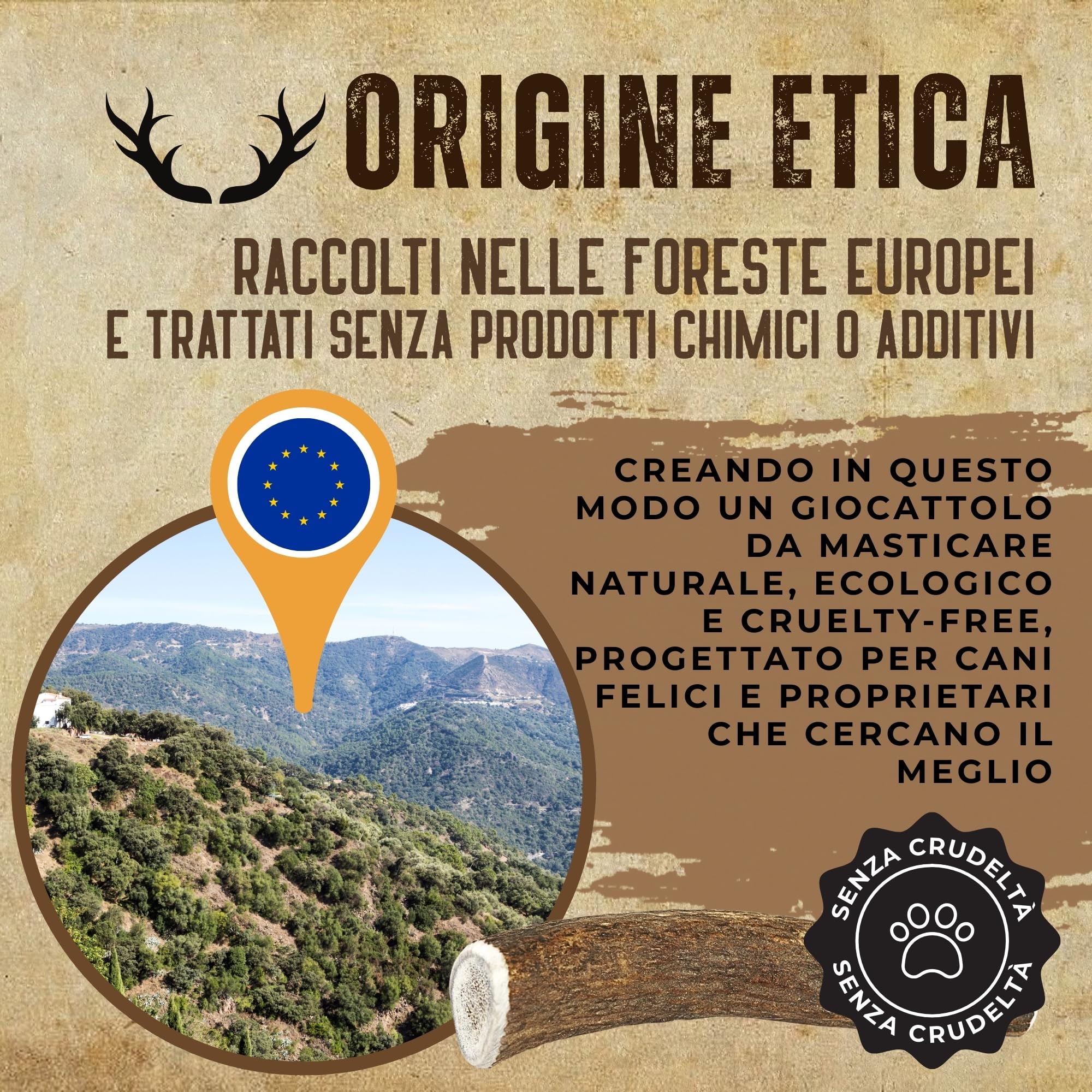 Corno di Cervo Naturale per Cani | Masticatore Dentale Duraturo | Origine Naturale, Senza Additivi | Kira&Gara® (M - 71-100g, Pack de 2)