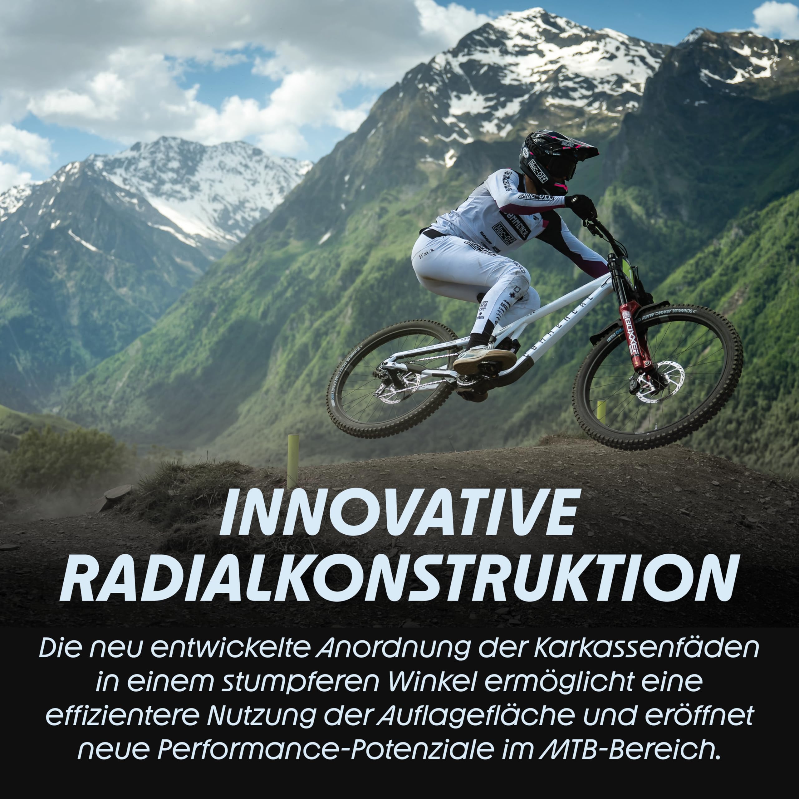 SCHWALBE Tacky CHAN Gravity PRO, TLR