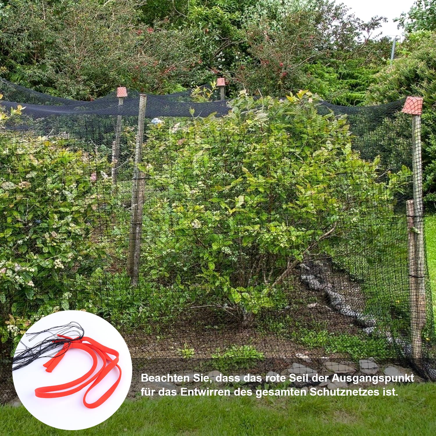 Filet de protection anti-oiseaux maille fine 8x8 m maillage 5 cm noir résistant aux intempéries UV