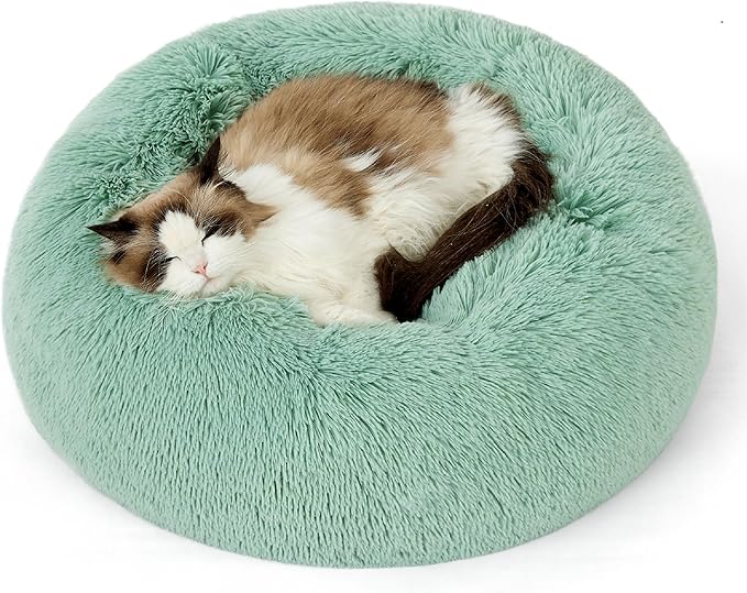 Calming Cat Beds