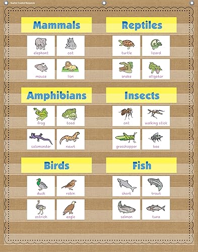 Miniatura 2 de Tabla de bolsillo de arpillera con 10 bolsillos (34 x 44 pulgadas)