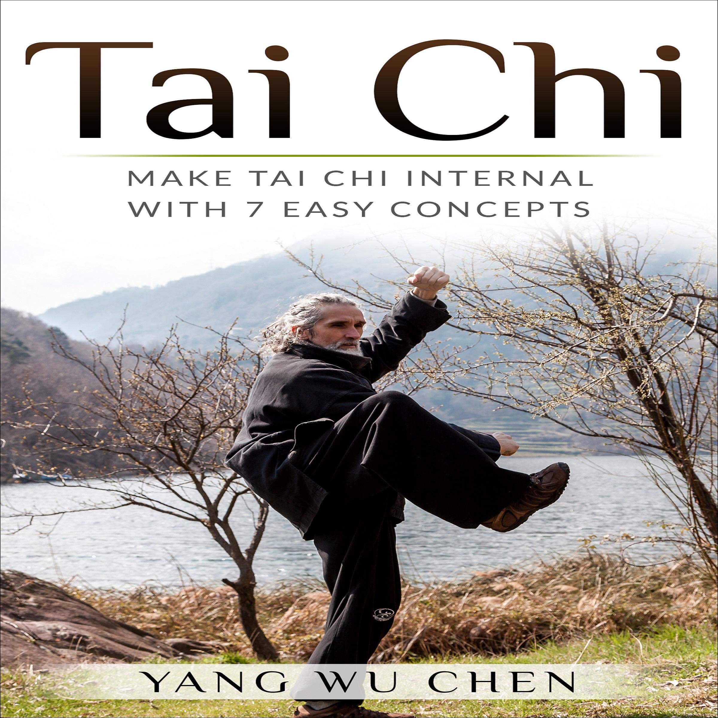 Cover art for Tai Chi: Make Tai Chi Internal with 7 Easy Concepts