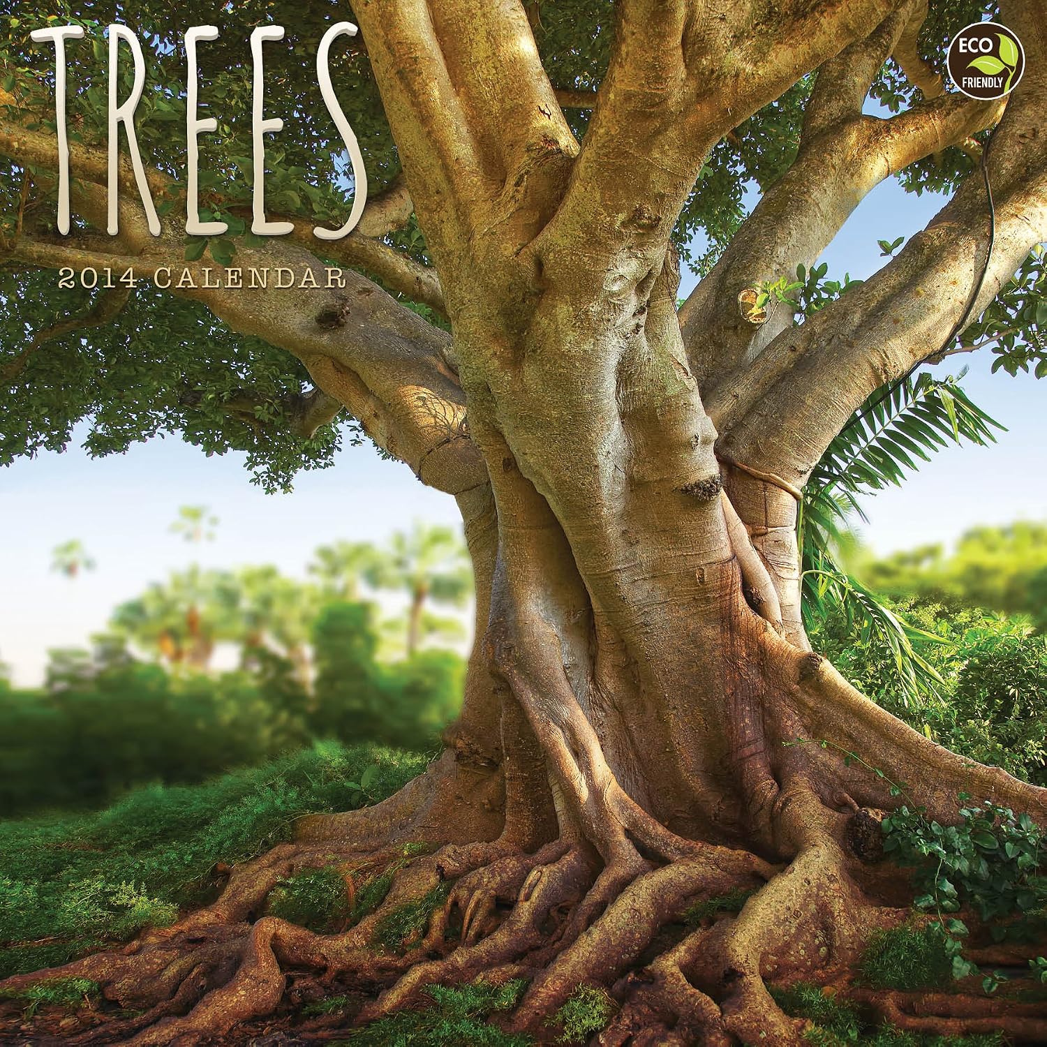 Tree Term Calendar Trees 2014 Calendar: TF Publishing: 9781579000578: Amazon.com: Books
