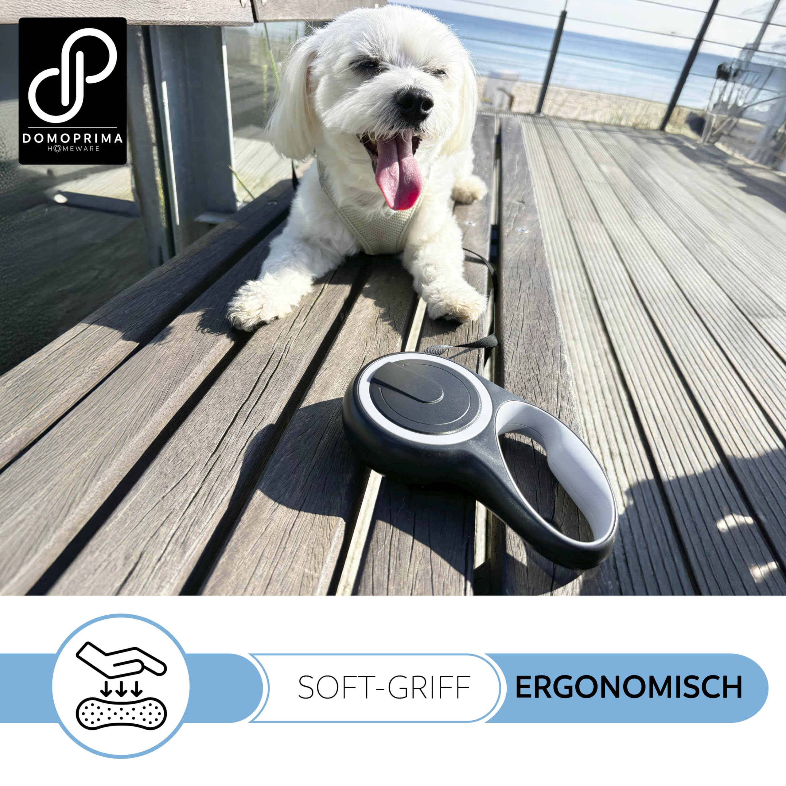 DOMOPRIMA Rollleine in 3 Größen (S,M,L) und 4 Farben (grau, blau, grün, pink) - Robuste und sichere Hundeleine für kleine, mittlere und große Hunde. Flexibel. (Grau, L)
