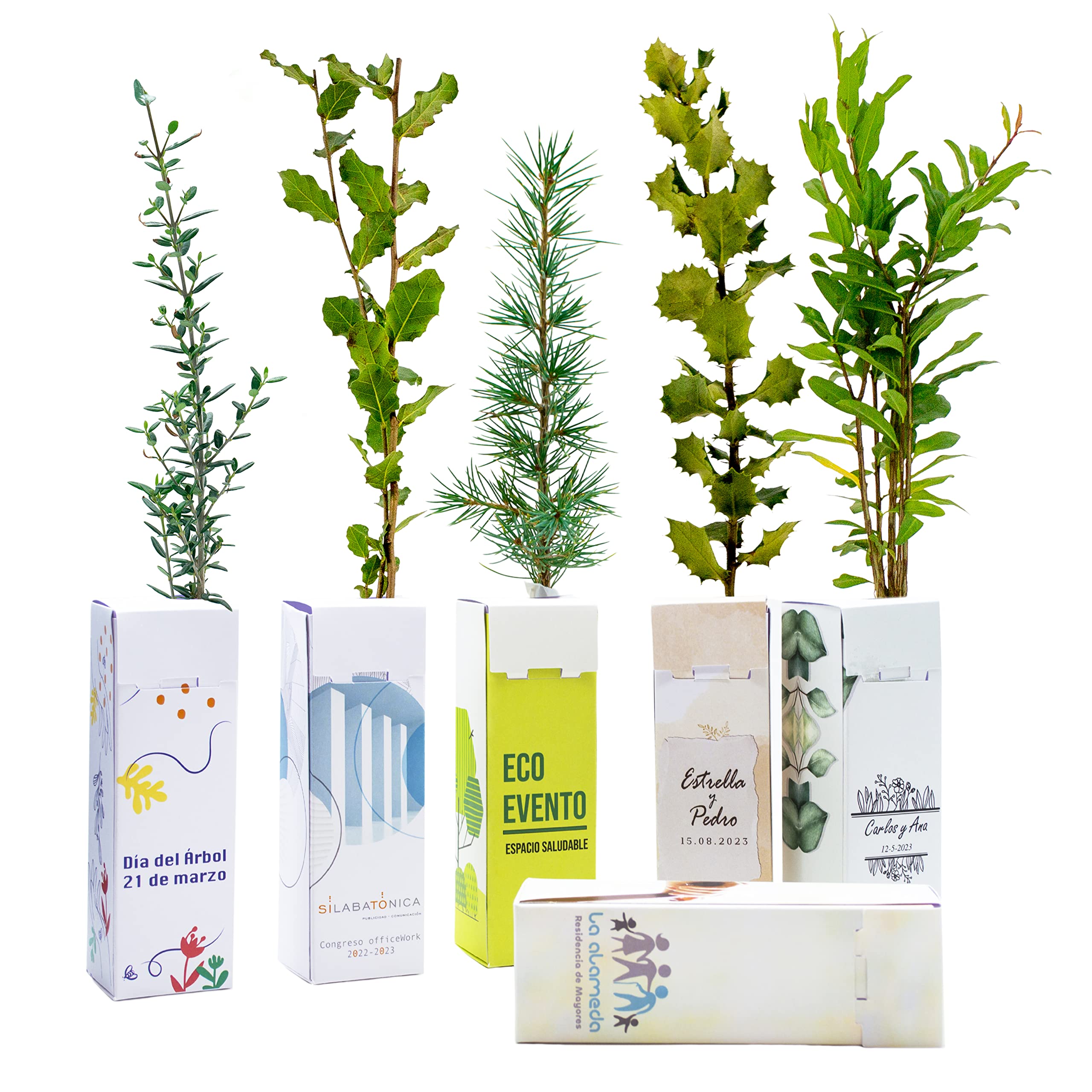 de regalo – Pack 25 Uds en Cajas de Cartón Personalizadas con la Imagen o Texto que Quieras – Amplia variedad de Especies – Promociones, Eventos, Bodas - Regala Vida