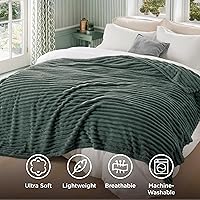 Vista 323 de Bedsure GentleSoft Twin Blanket for Couch - Cozy Soft Blankets for Women, Cute Small Fleece Throws for Girls, Light Grey, 60x80 Inches