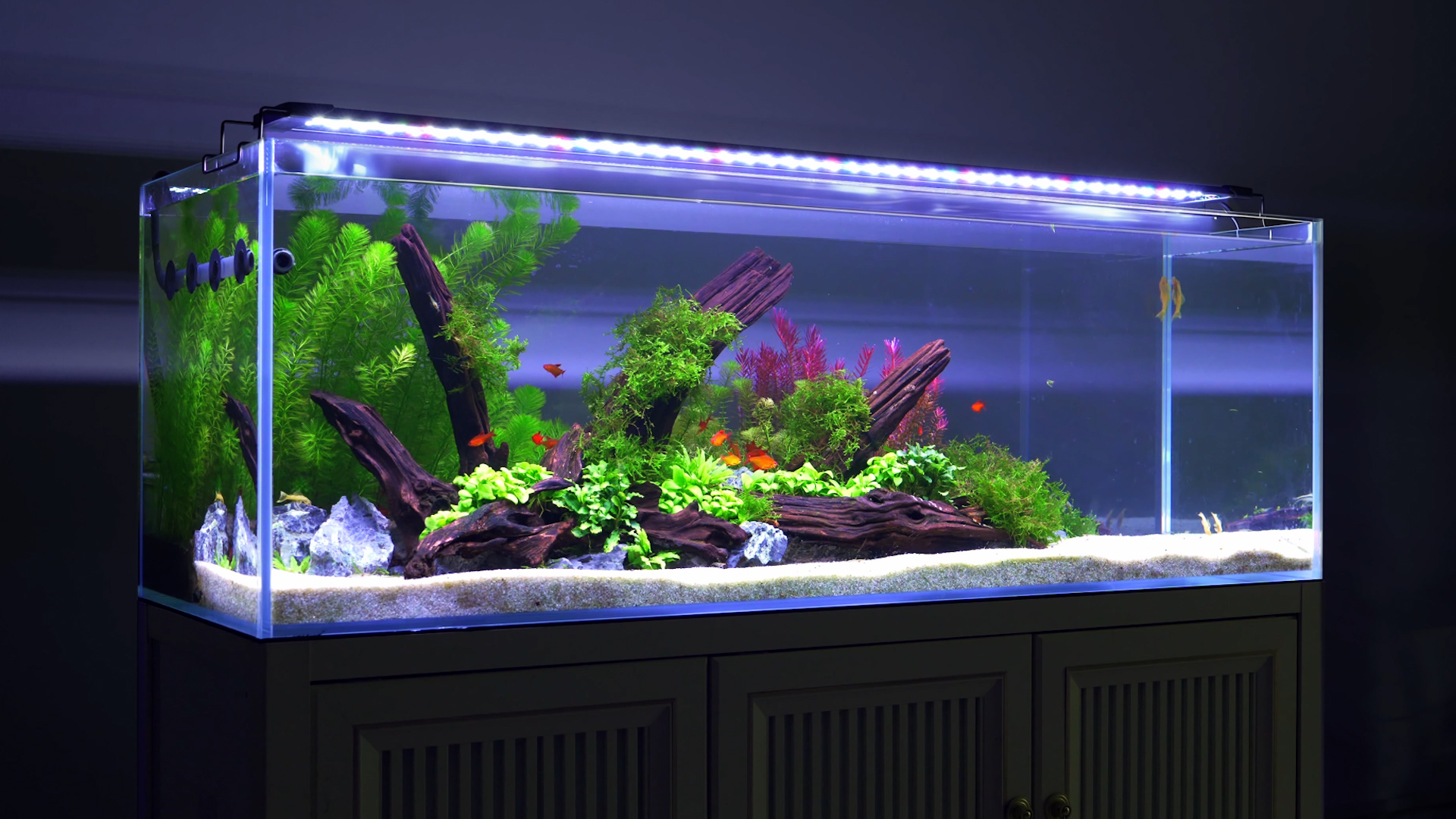Image of fishkeeper Aquarium Plant Light with Time Sync, 24 /7 with 6 Rows of LEDs