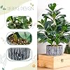 Product Photo 5