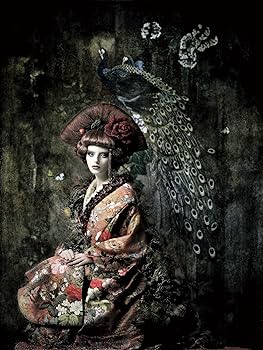 Amazon.co.jp: エクリプス 野波浩写真集 : 野波浩: 本