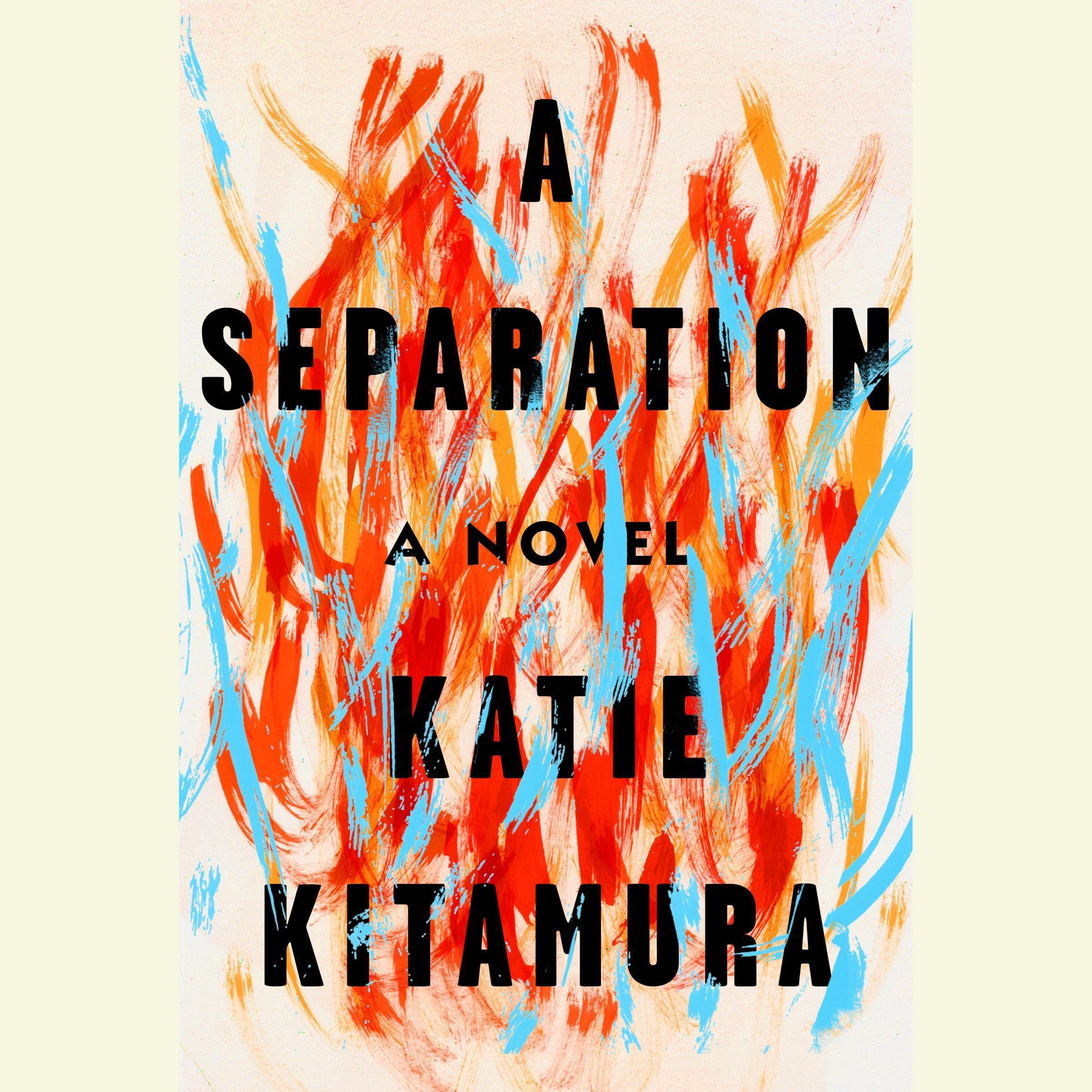 Cover art for A Separation