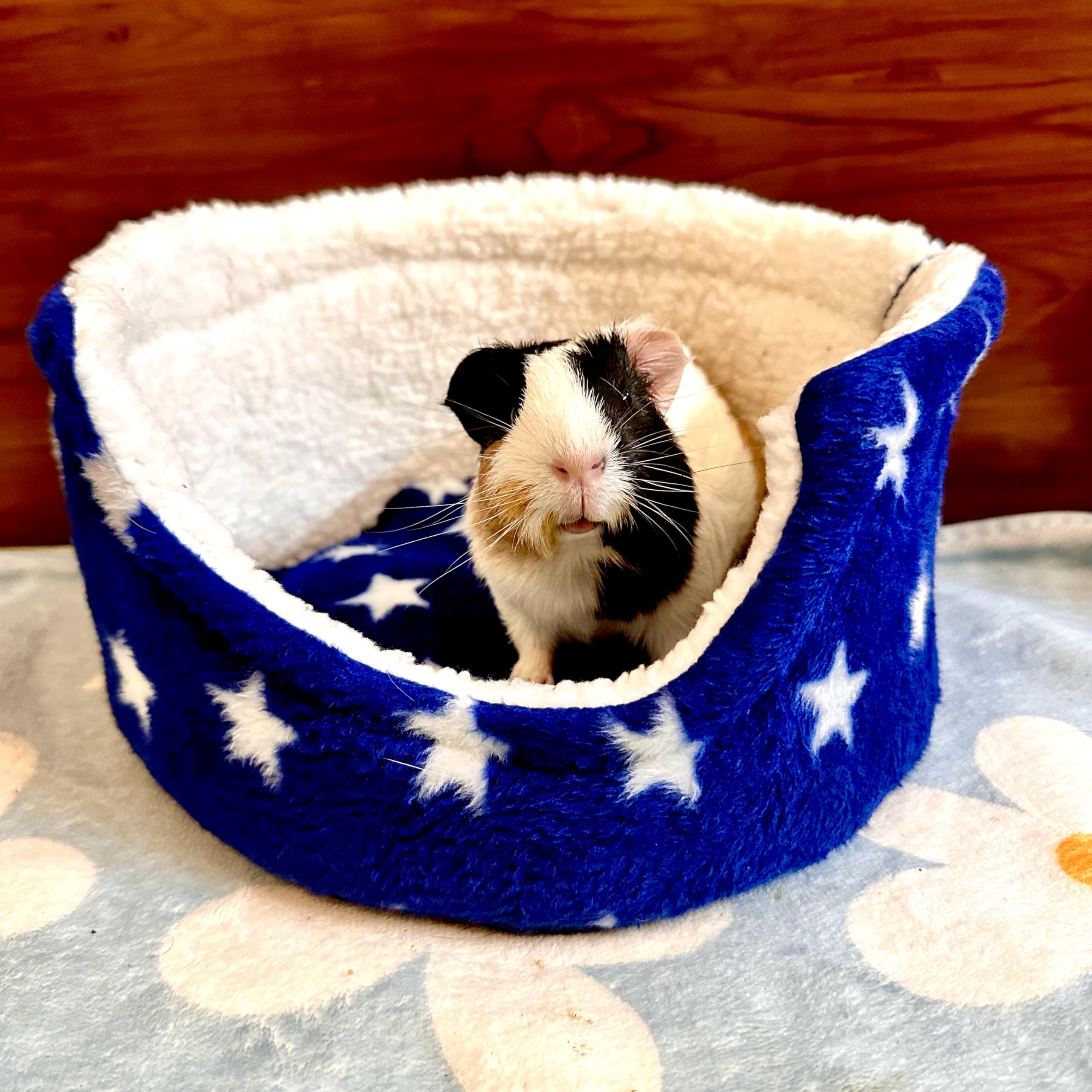 Jubbles Cuddle Cup for Exotic/Small Pets in India (dimater - 12 inches)-image-7