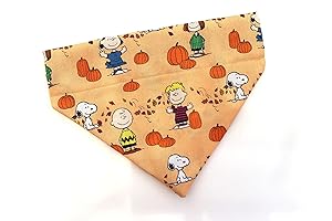Thanksgiving Dog Bandana Collar